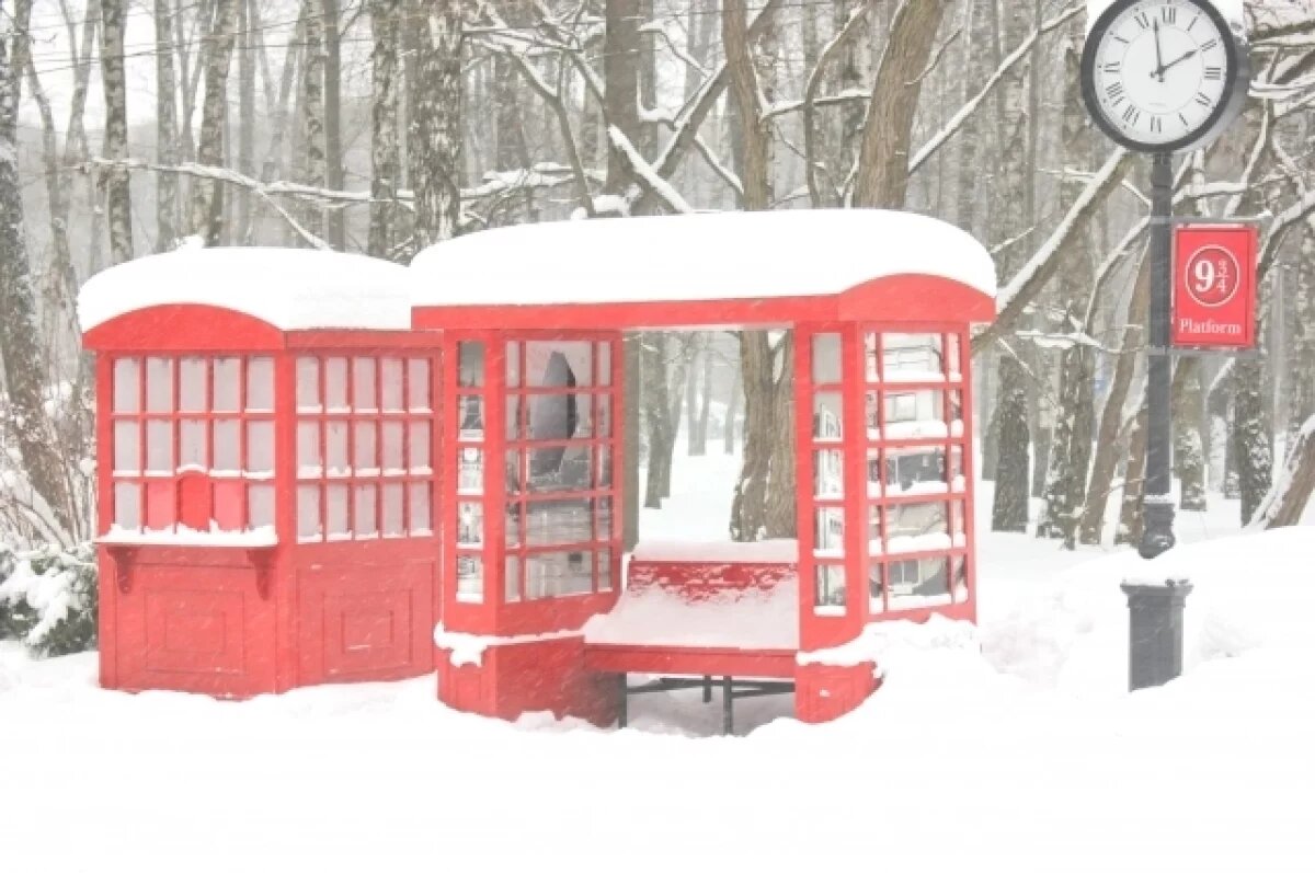    20 января в Туле прогнозируют восьмибалльную магнитную бурю