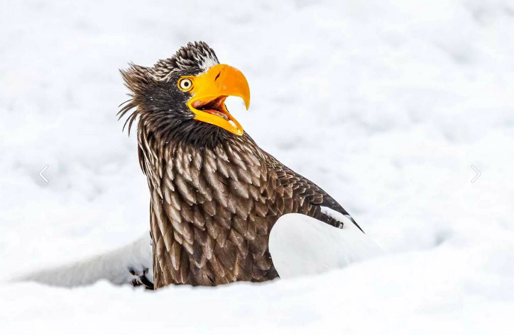 Все фото из интернета