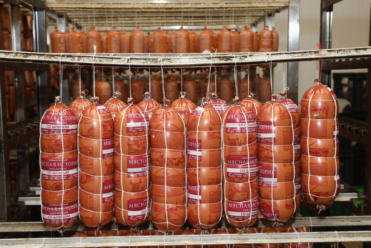 Фото: Александр Глуз / «Петербургский дневник»