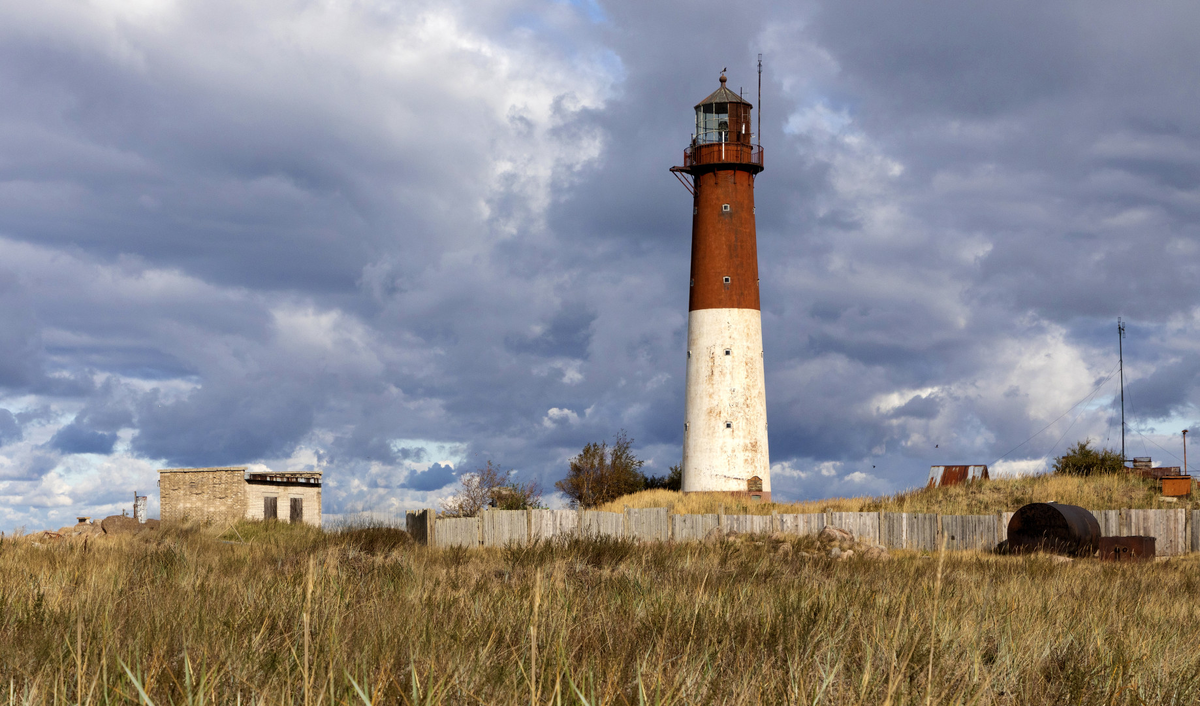 (источник: rgo.ru)