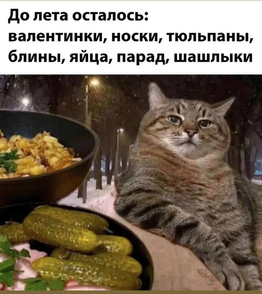 Скорее бы лето!!!🐱