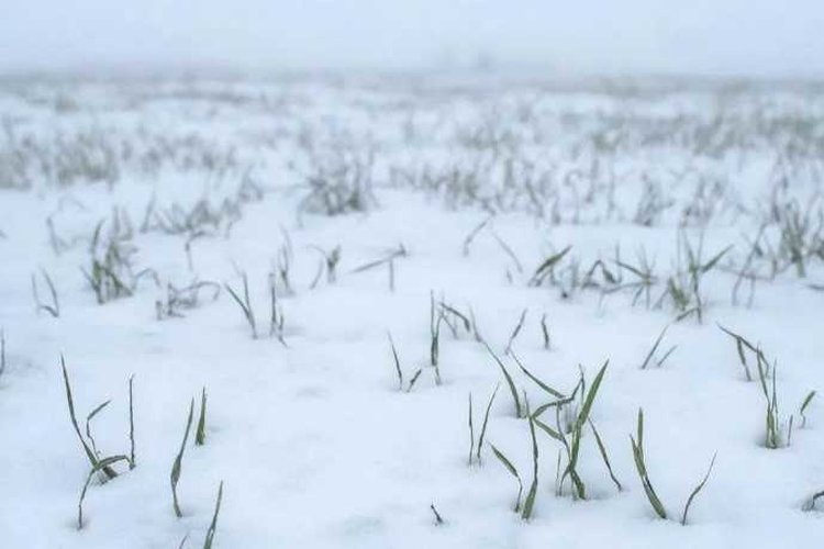    Фото: Правительство Ростовской области