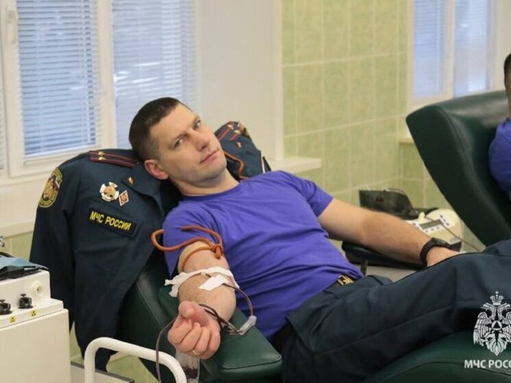     Фото: ГУ МЧС России по Тульской области