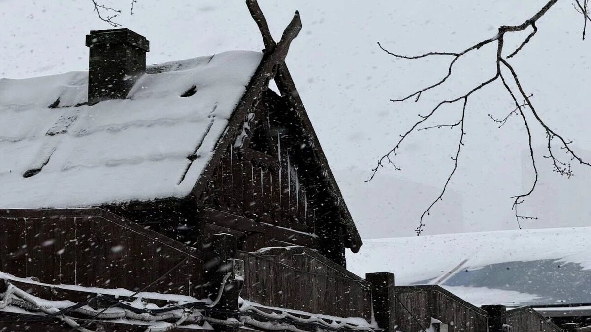    Морозы отступают: температура в Ростове поднимется до плюсовых значений   rostovgazeta.ru