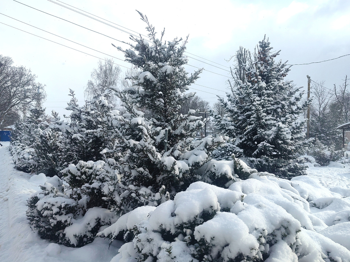 Наше крымское предгорье изрядно завалило снегом