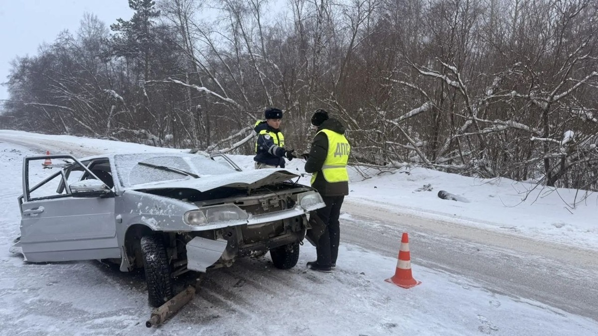    Фото: Госавтоинспекция Свердловской области