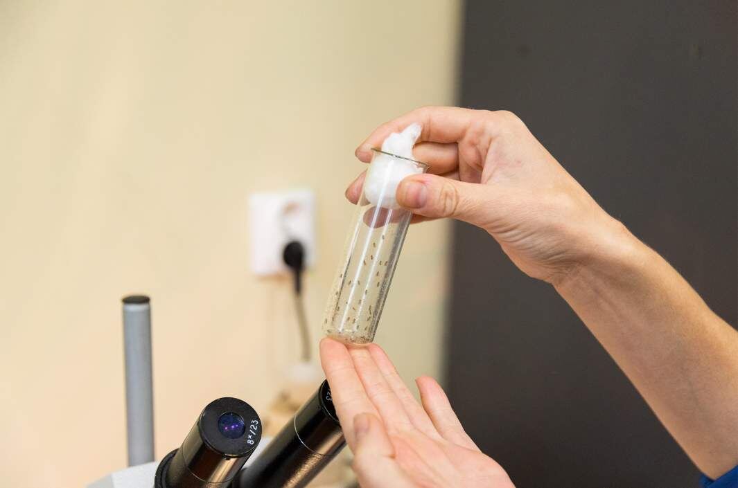 Фото: Уральский федеральный университет