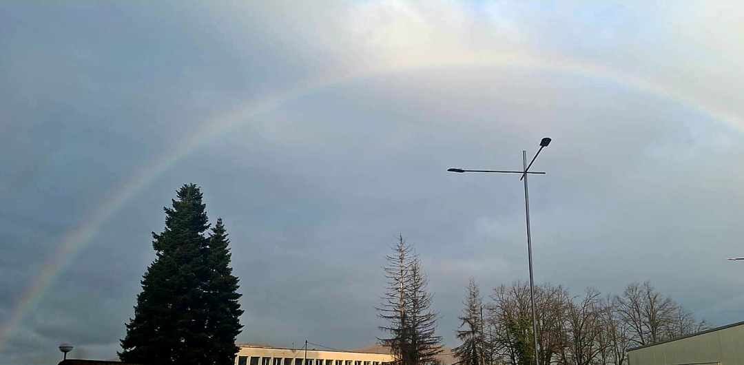 Про развитие карьеры мужа в Болгарии, габровскую экономику и болгарские политические потрясения.