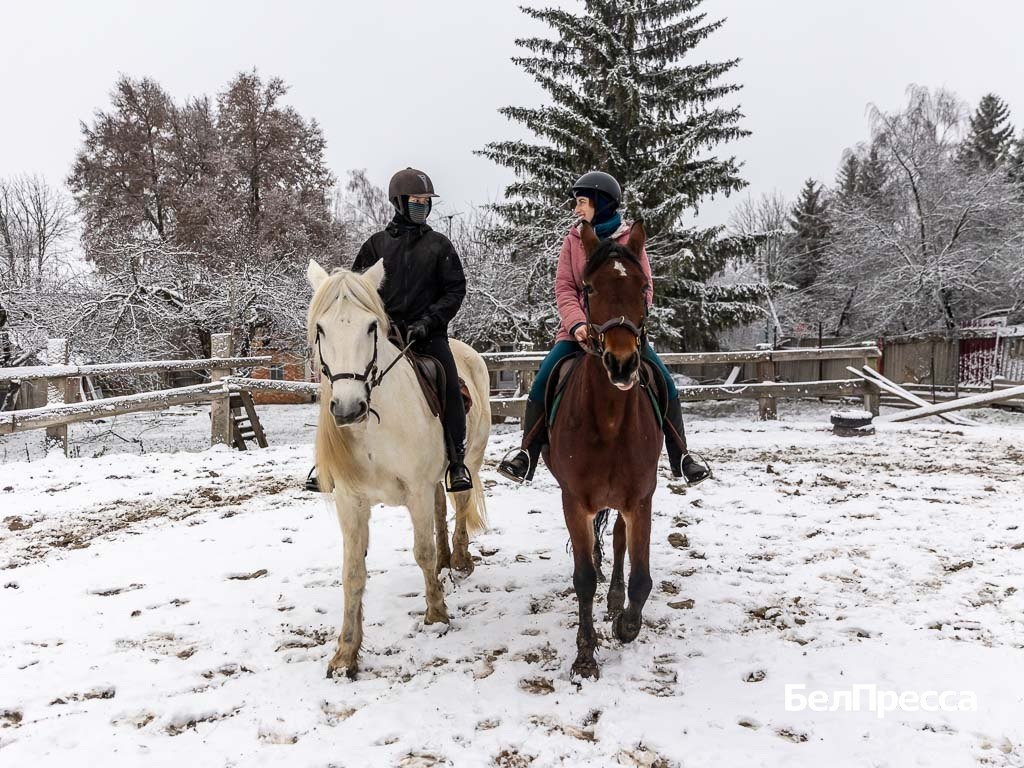     Фото: Алексей Дацковский