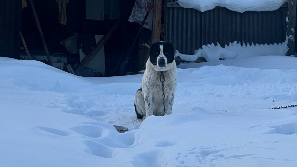 Помогаем информационно