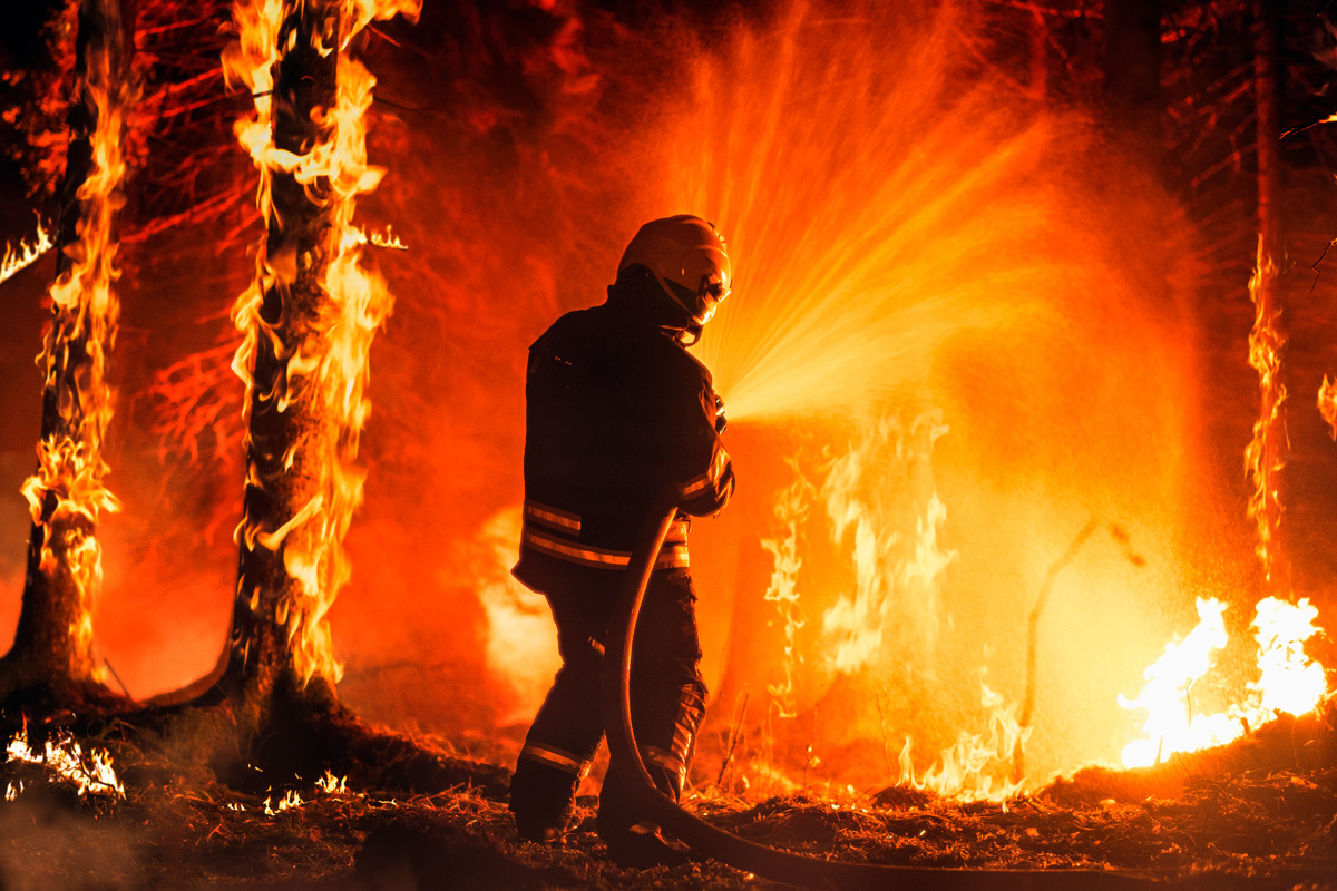    Фото: Gorodenkoff / Shutterstock.com