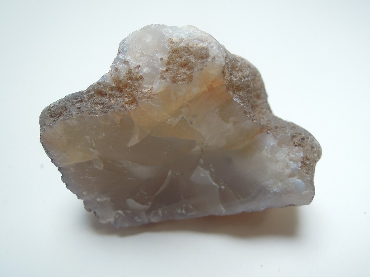 (Фото из открытых источников.) 