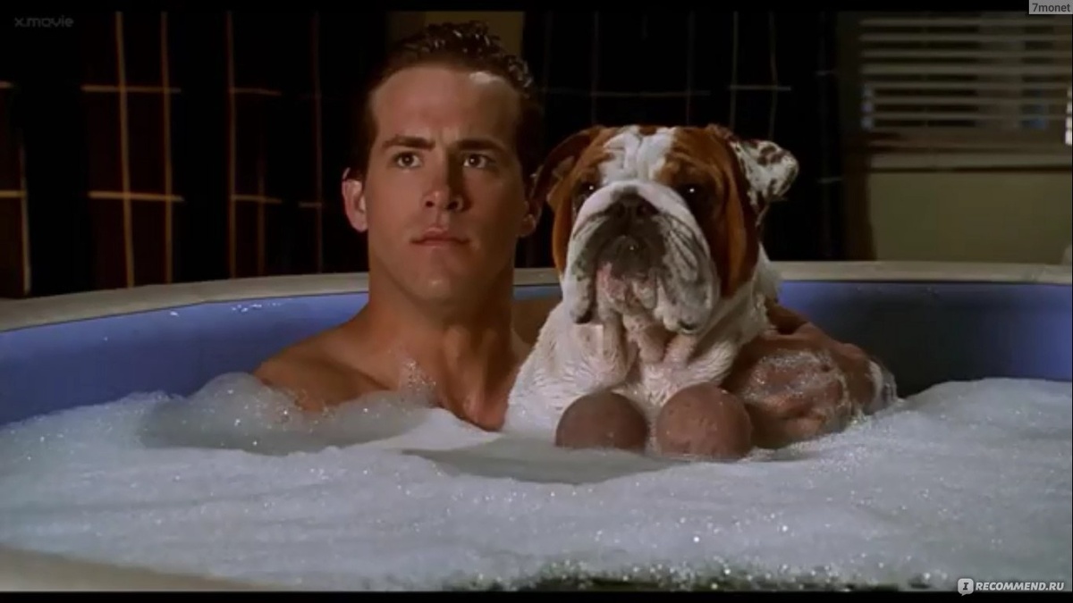 Кадр из фильма «Король вечеринок»