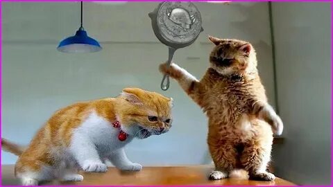 Так 🤔🤔🤔ух ты😳😳я уже чувствую прилив смехуятины😳😁😁👌🏻✅✅ну всё😂😂😂subscribe оформлен😂🤔🤔😂😂😎