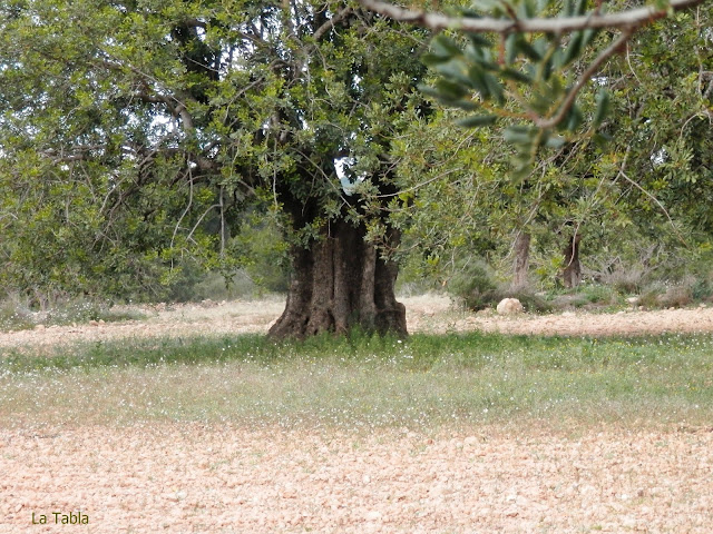 Изображение из открытых источников