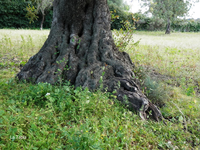 Изображение из открытых источников