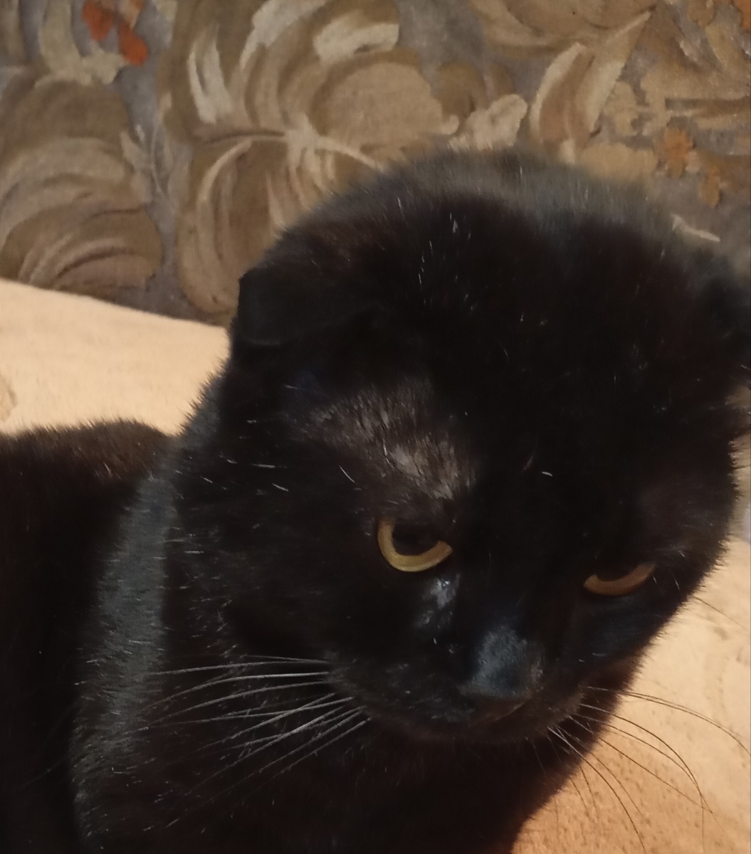 Фотография автора