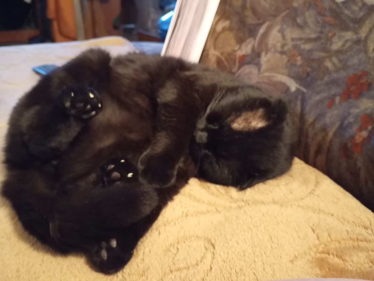 Фотография автора