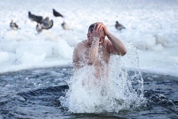 Обложка © Shutterstock / FOTODOM / home for heroes