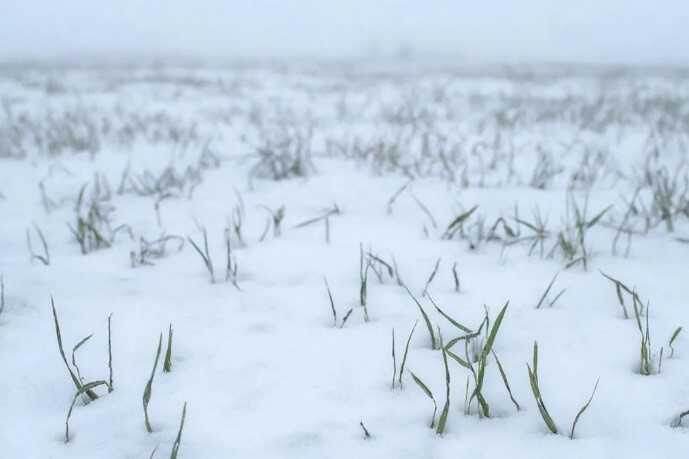    фото: donland.ru Редактор