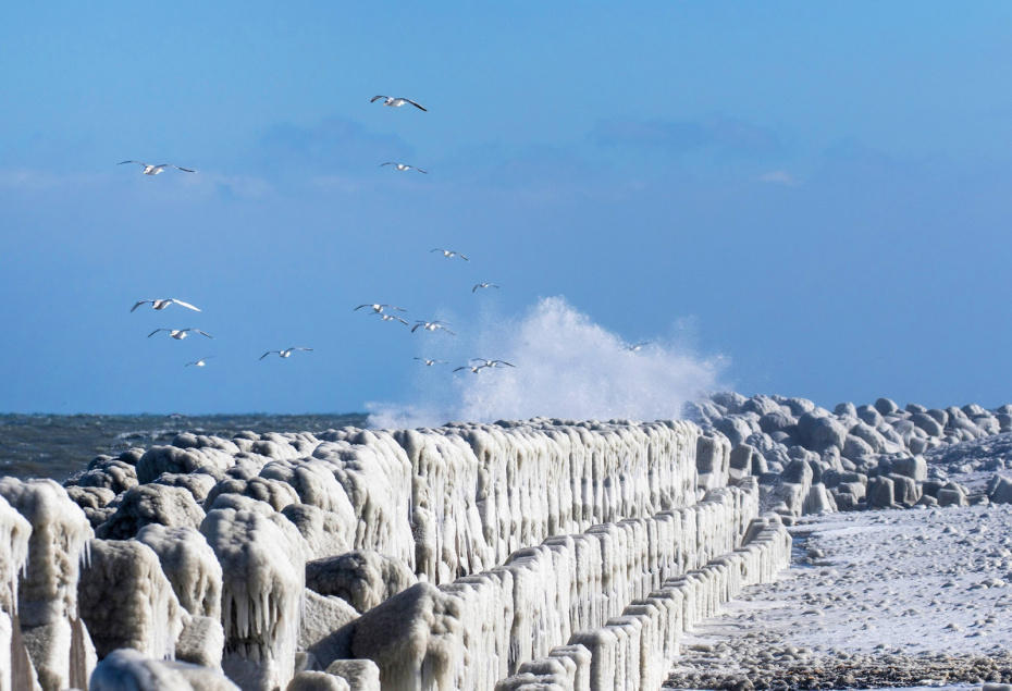    McPHOTO/J. Bitzer/Global Look Press