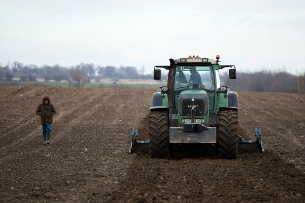 В Калининградской области в 2025 году в сельхозоборот ввели 4,8 тыс. га земель