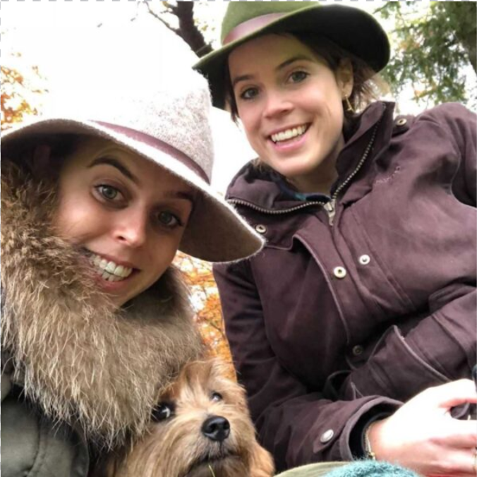 Социальные сети королевской семьи