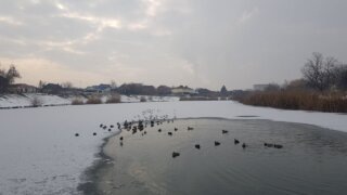    Элина Болдырева Юлия Виноградова