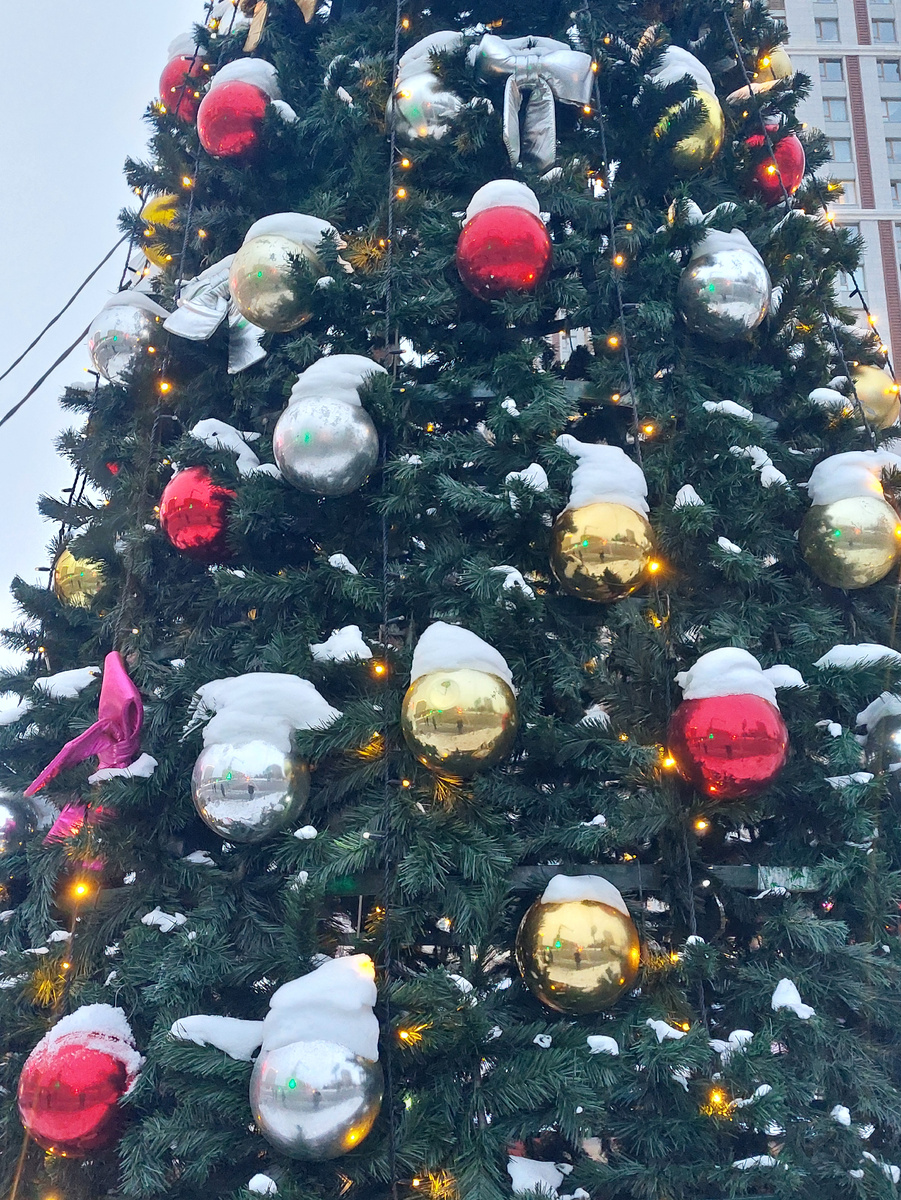 Фото автора канала