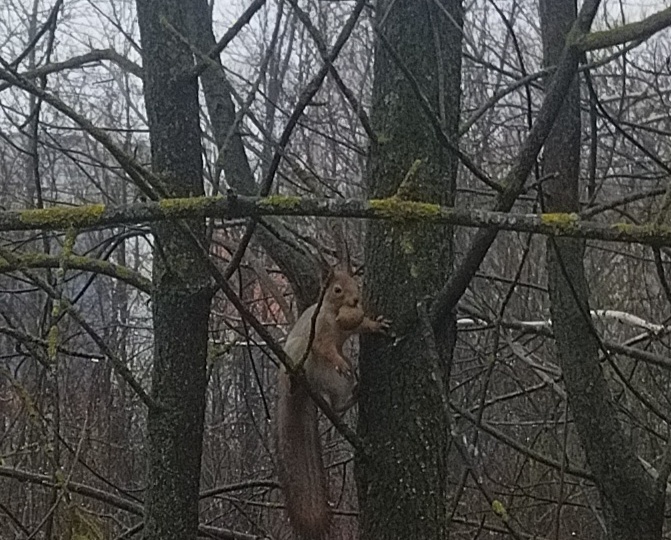 День вчерашний.