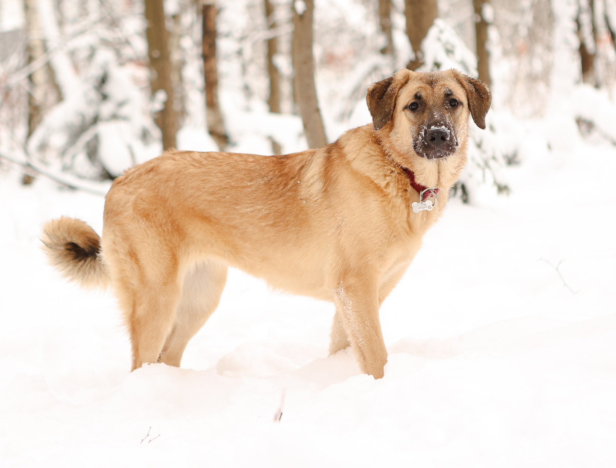 Ей даже говорить не нужно, как стоять! Она королева