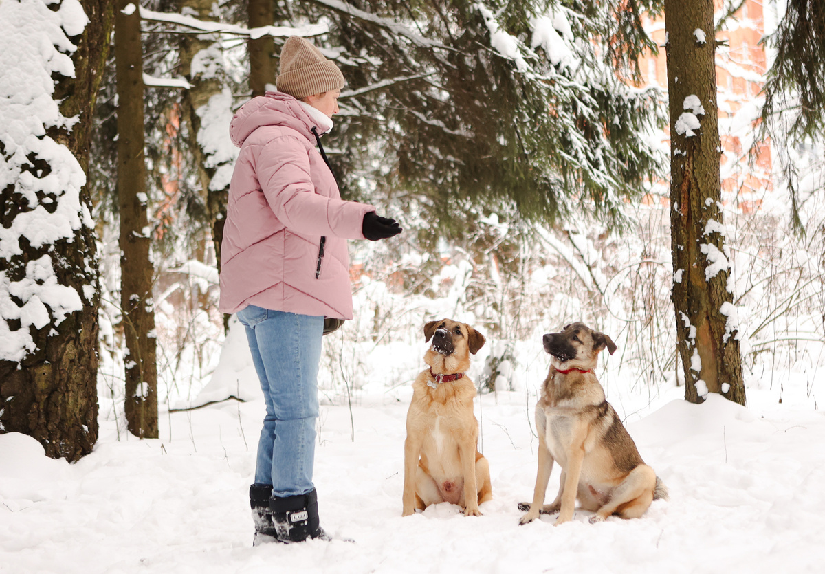 Дважды два? - ЧЕТЫРЕ)))