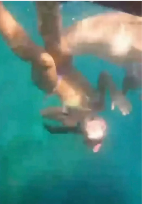 Фото: соцсети Далазен