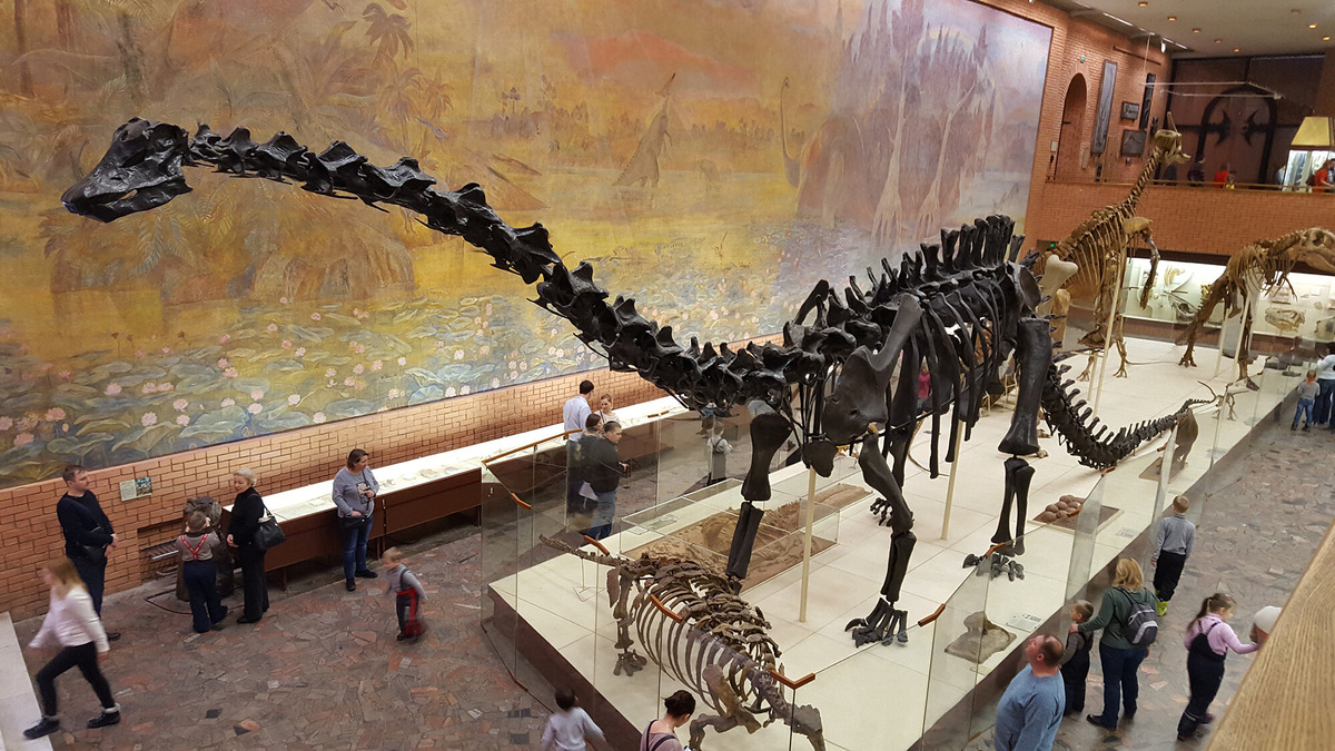 Такие полные скелеты древних ящеров, как в Палеонтологическом музее в Москве, — особая ценность любой коллекции. Фото: Полина Воронова