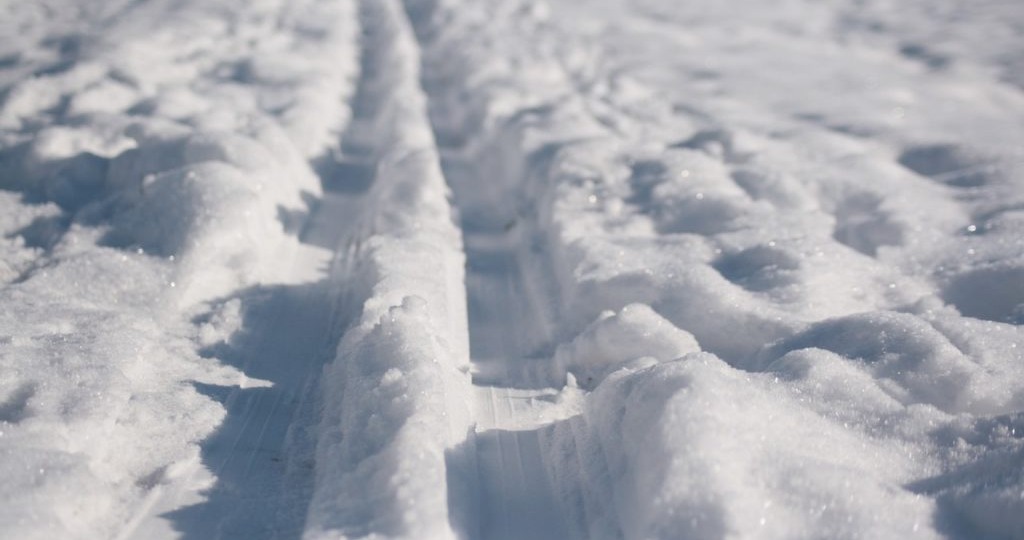 Эксперты увидели пользу в снежном апокалипсисе на Кубани