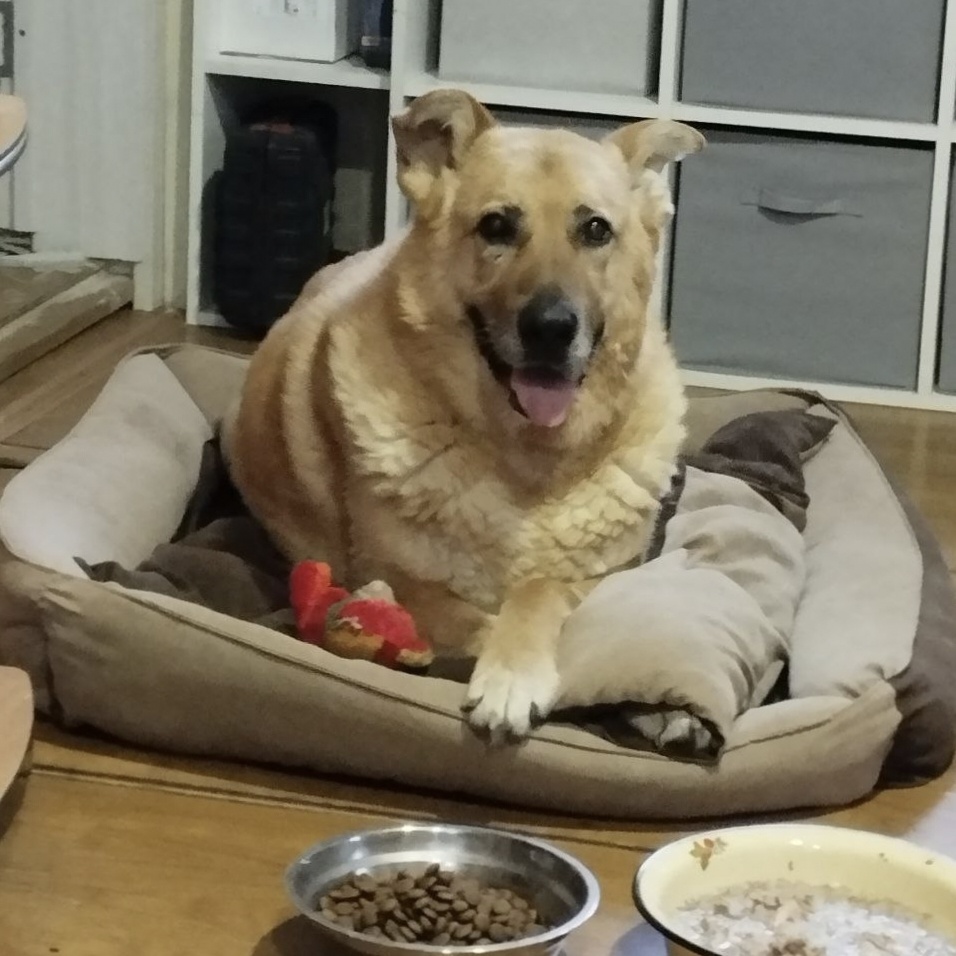 Фотография до слёз 