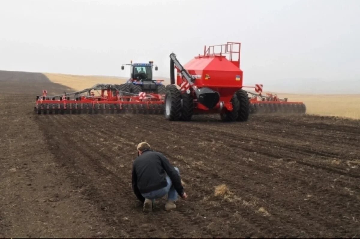    В Калининградской области проверили почти 46 тысяч гектаров сельхозземель