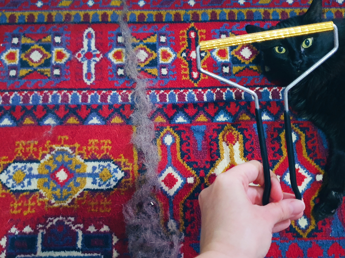 Дивуля проверяет качество уборки