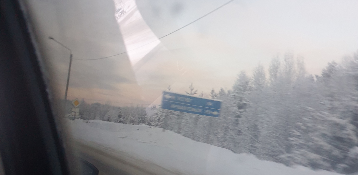 Шикарный лес, как в сказке Морозко