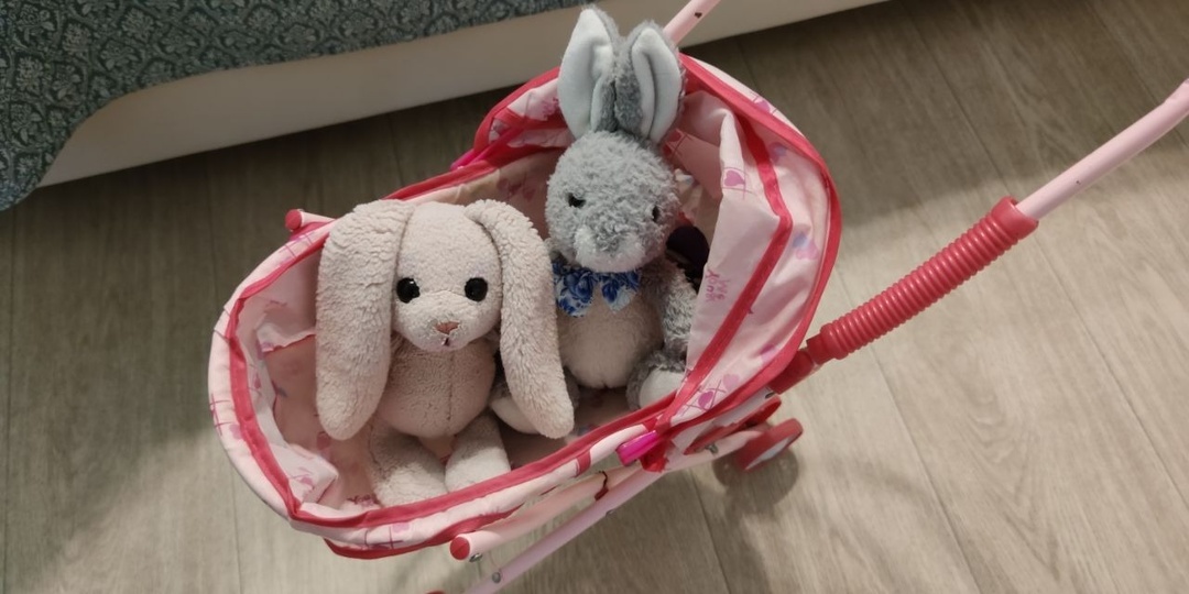 В Башкирии родилась «королевская двойня»