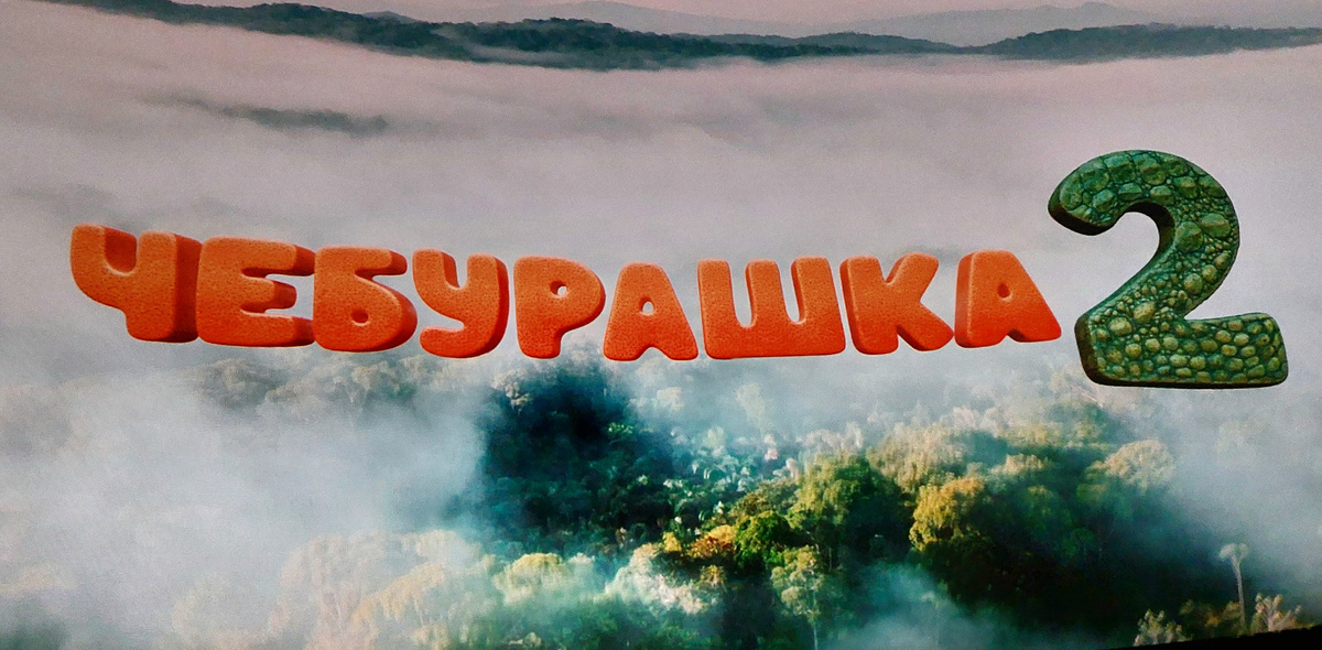 Кадр из фильма. Фото автора