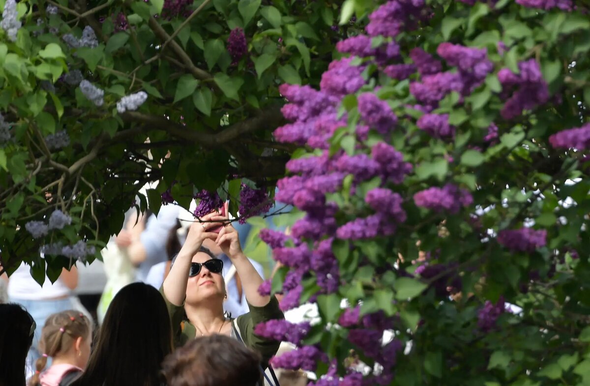     © РИА Новости. Александр Гальперин