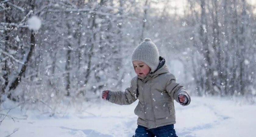    Картинка создана нейросетью Алиса AI