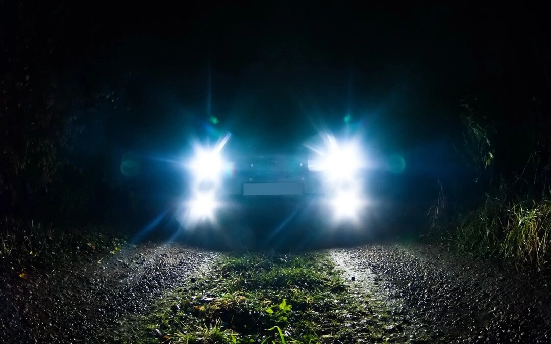 Фото: Paparacy / Shutterstock / FOTODOM