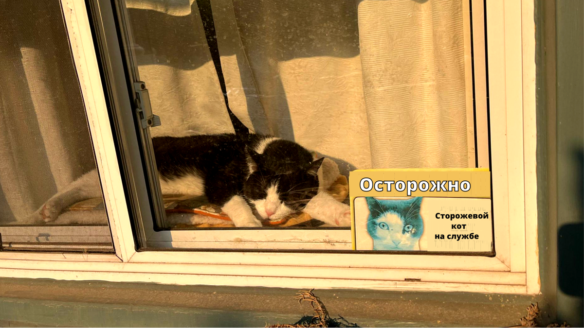 Охранник на обеденном перерыве, просьба не беспокоить