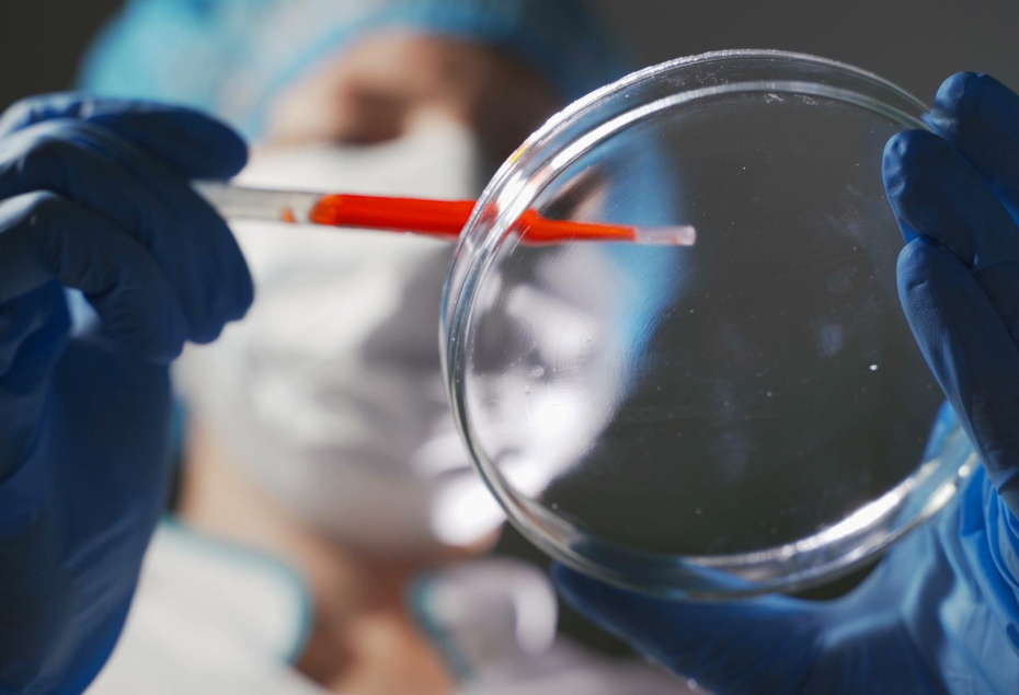    Shutterstock/FOTODOM