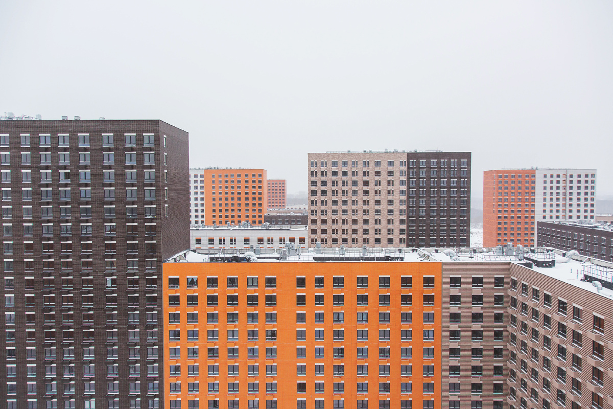 Автор фото: Evgeniia Primavera / Shutterstock / FOTODOM