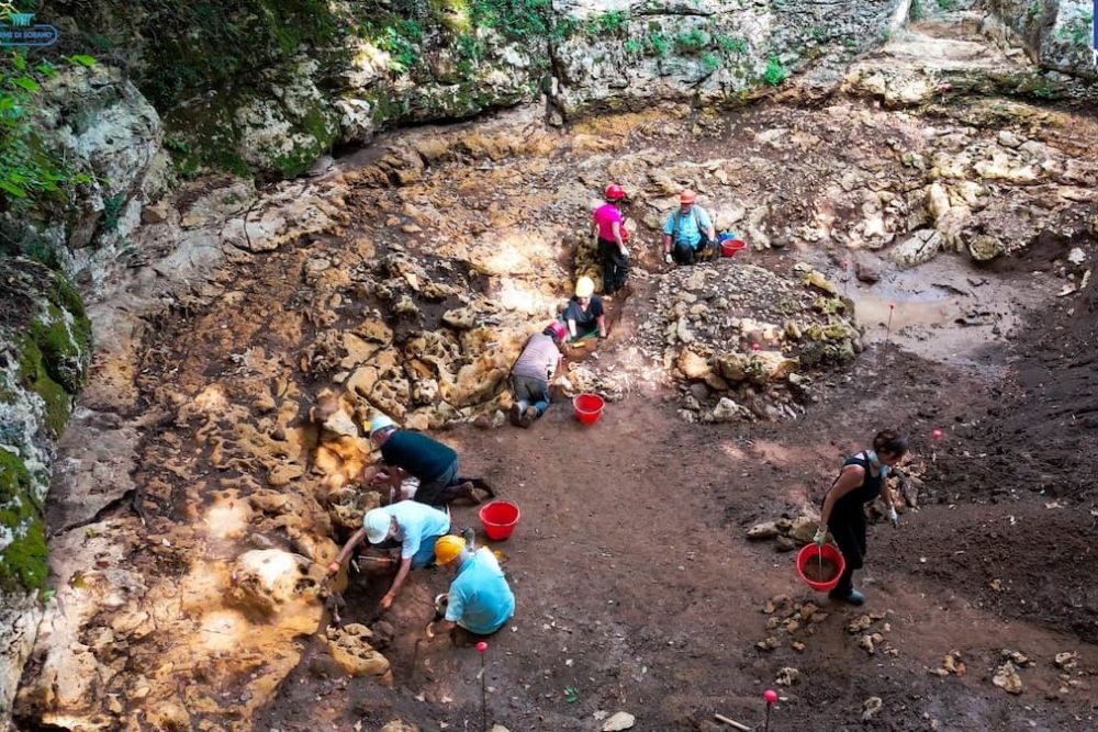    Ministero della Cultura