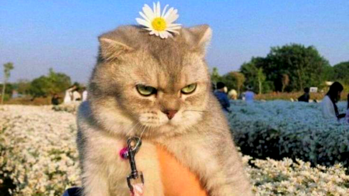 Еще чуть-чуть и я взорвусь