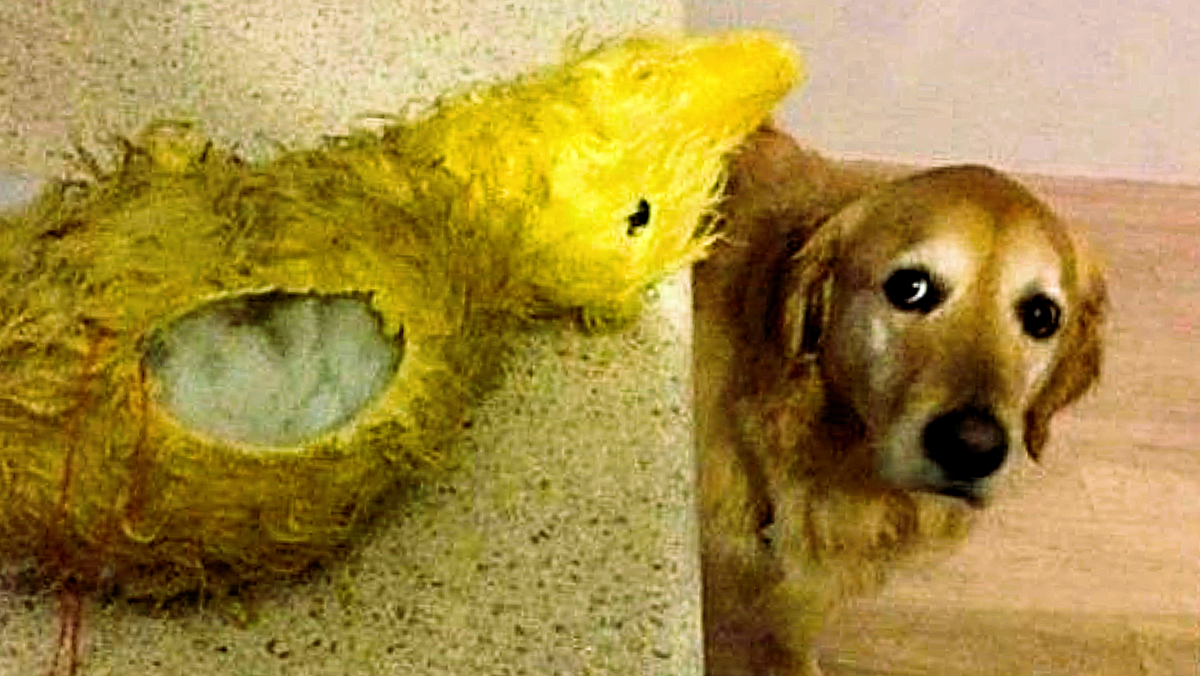 Когда твоему другу потребовалась операция